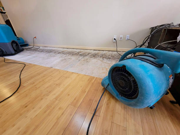 Professional Water Damage Repair technician working in Fayetteville, WV